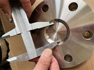 310S flanges most widely used in power generation