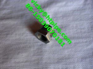 A182 F51 2205 UNS S31803 1.4462 Soldadura de preses forjades SW Conjunt de raccords de canonada roscat